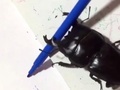 ׿ǳıϼ